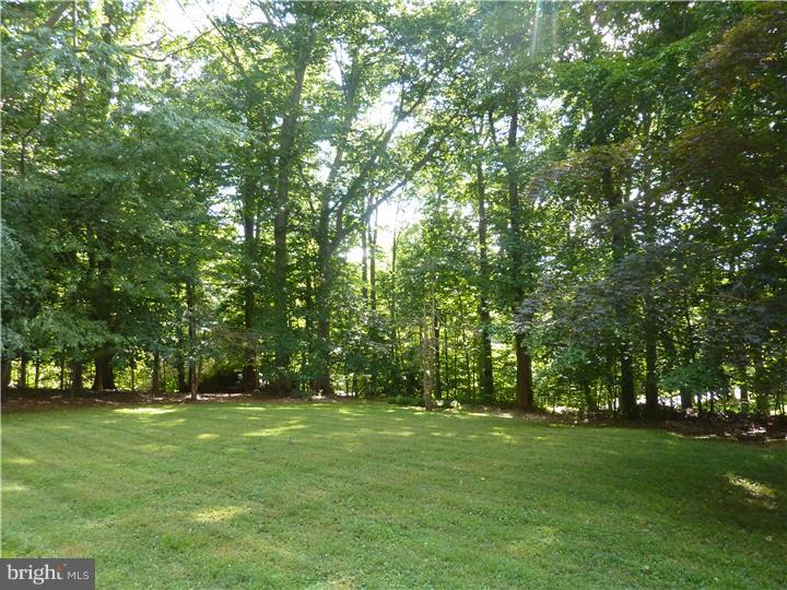 260 Sycamore Mills Road Media, PA 19063 - Photo 24 of 25 Back Yard
