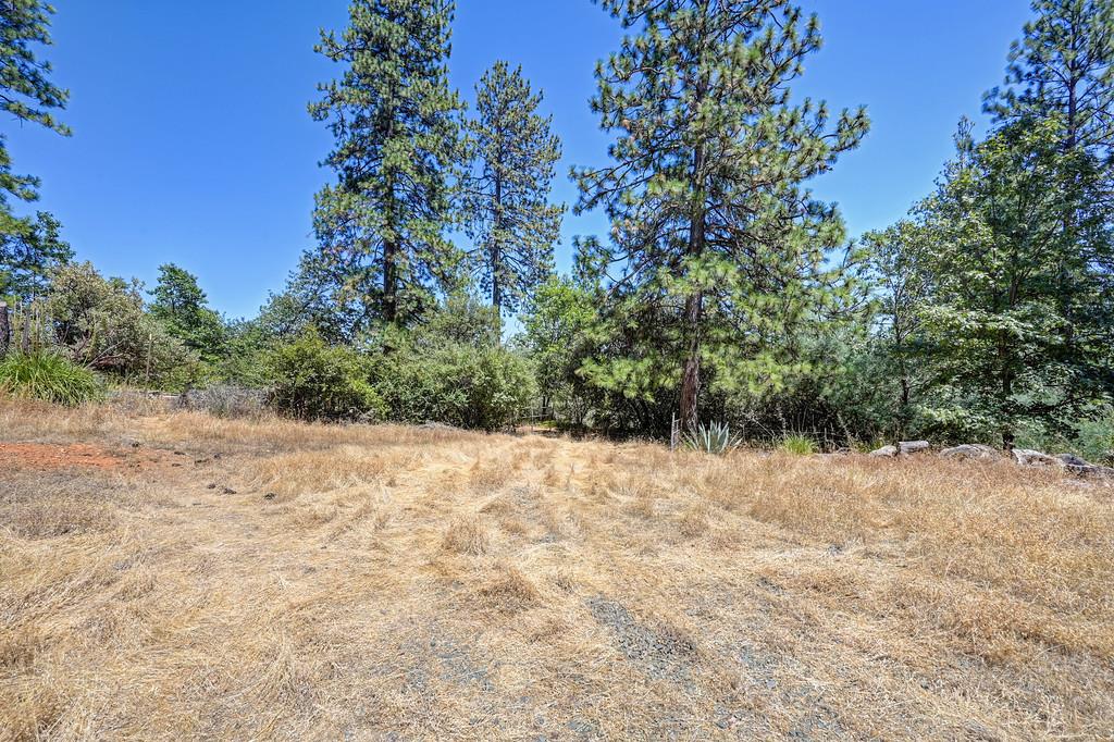 20220 Hummingbird Hill Road Colfax, CA 95713 - Photo 30 of 30