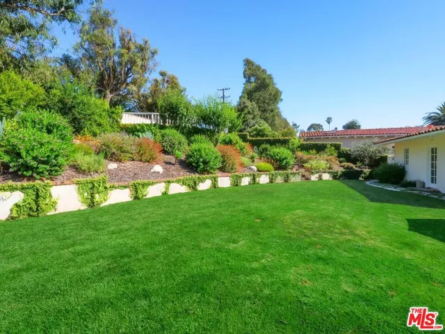a view of a big yard with plants and large trees