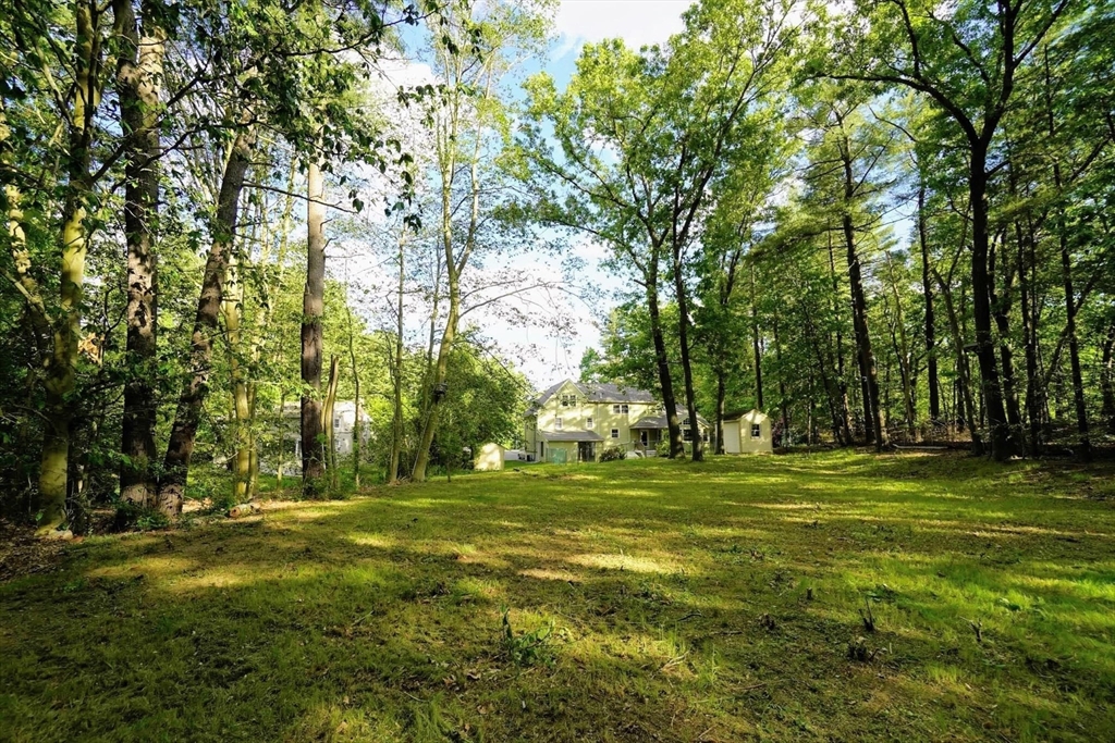 30 Oxbow Road Lexington, MA 02421 - Photo 29 of 30 a big yard with lots of trees and plants