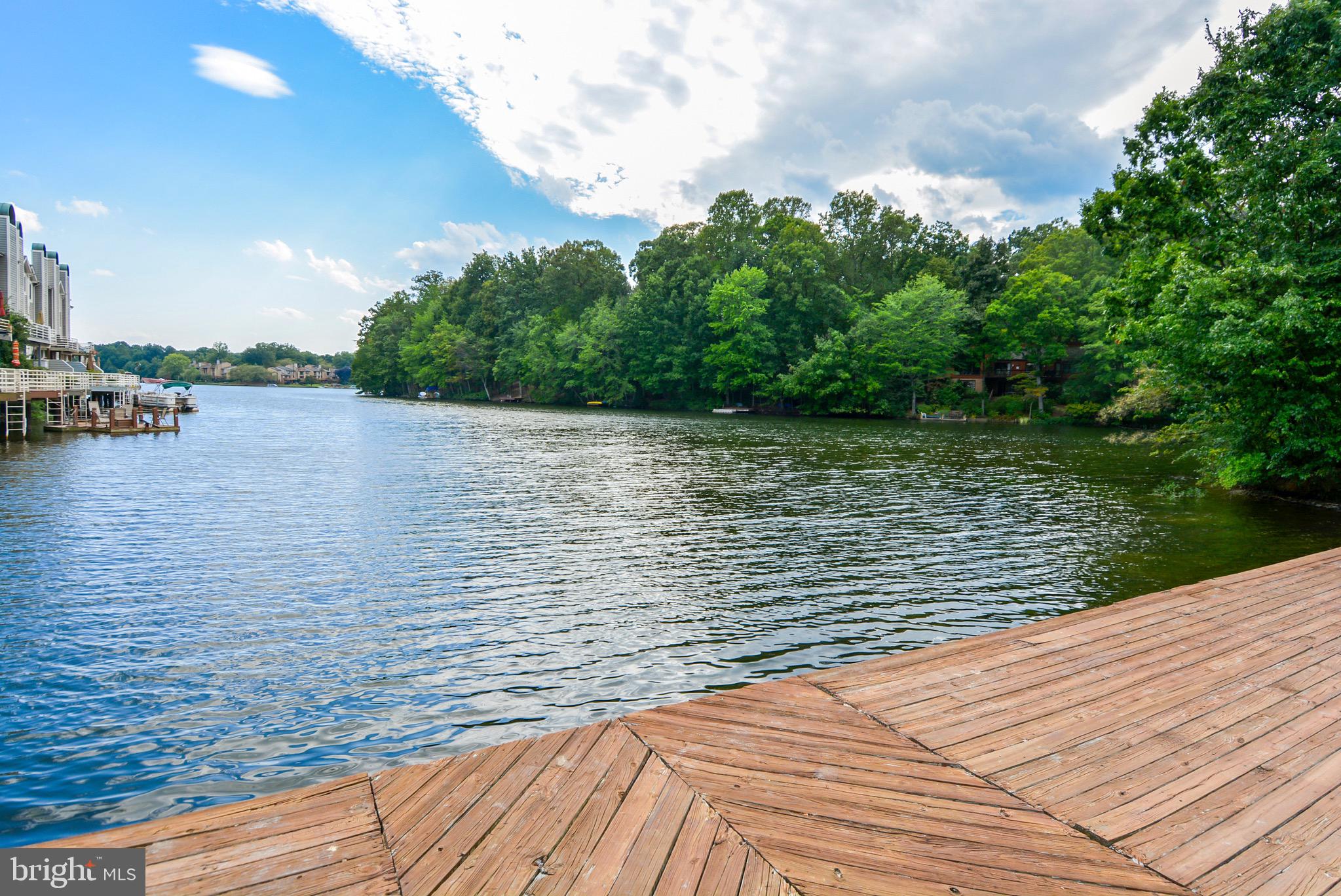 2203 Hunter's Run Drive Reston, VA 20191 - Photo 42 of 48 a view of lake