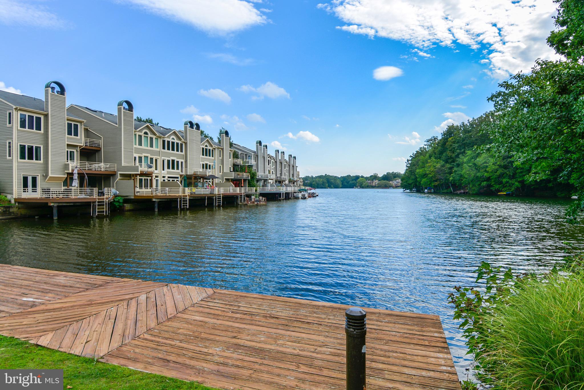 2203 Hunter's Run Drive Reston, VA 20191 - Photo 43 of 48 a view of lake