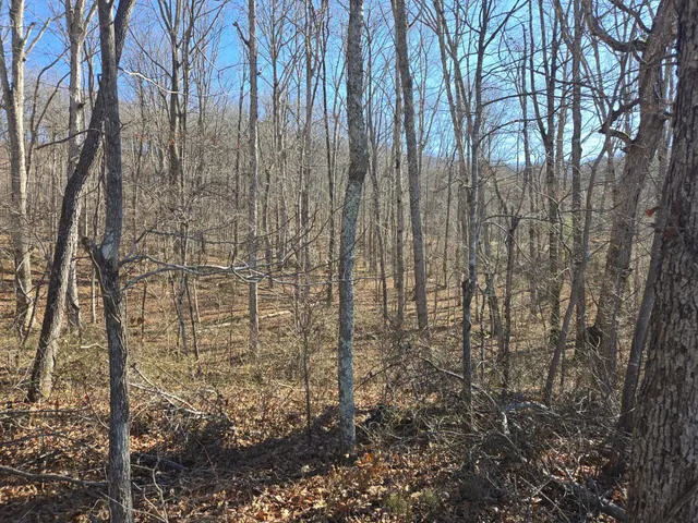 $28,500 | 399 Sr Highway, Palmer, TN 37365