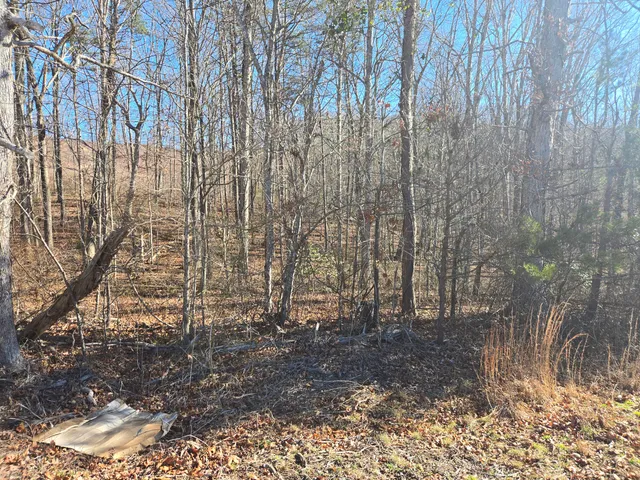 $28,500 | 399 Sr Highway, Palmer, TN 37365