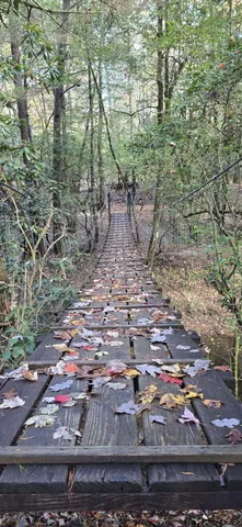 $28,500 | 399 Sr Highway, Palmer, TN 37365