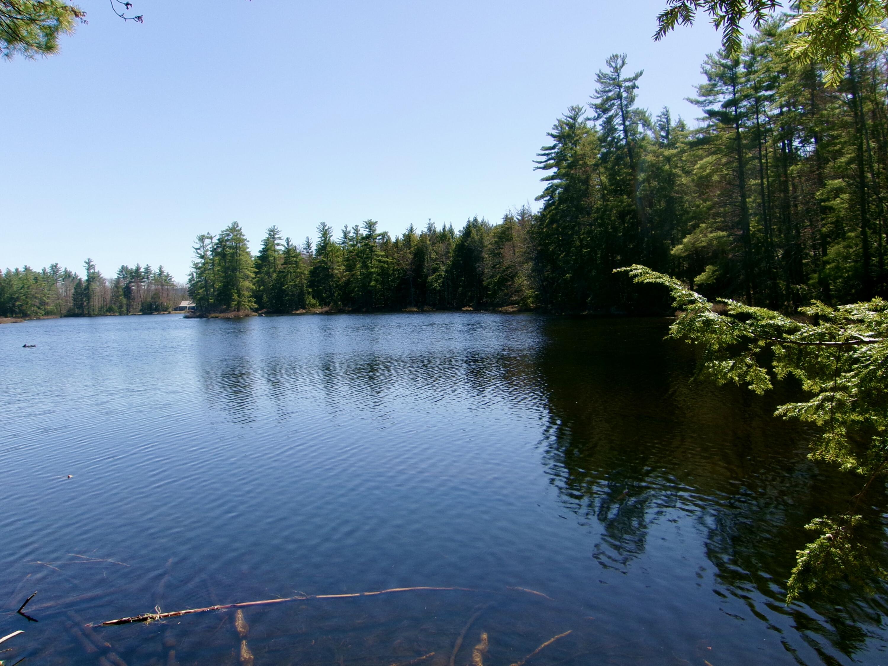 65-ac Town Farm Road West Baldwin, ME 04091 - Photo 5 of 16 3