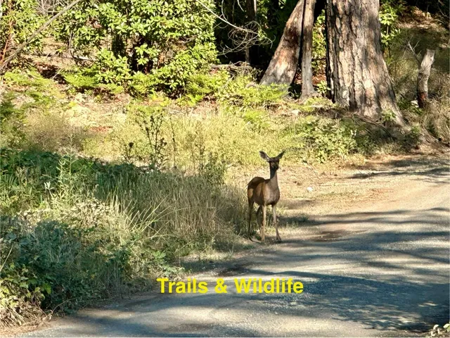 a view of a lake with houses