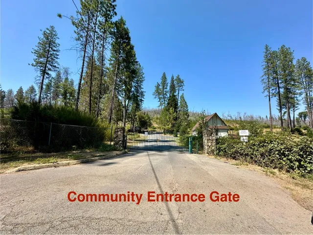 a view of a yard with a tree