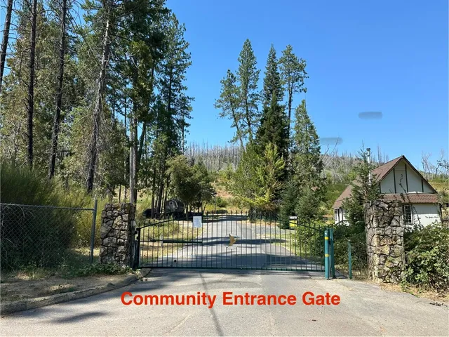 a view of a bunch of flowers