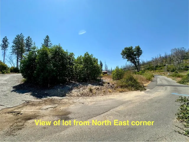 a view of water fountain