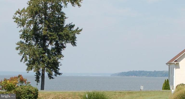 31 Tides Road King George, VA 22485 - Photo 14 of 15 Back yard