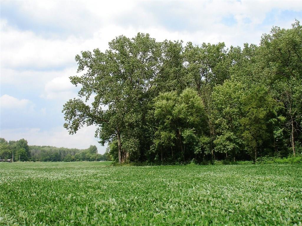 11-acres Selma Road Springfield, OH 45505 - Photo 2 of 5