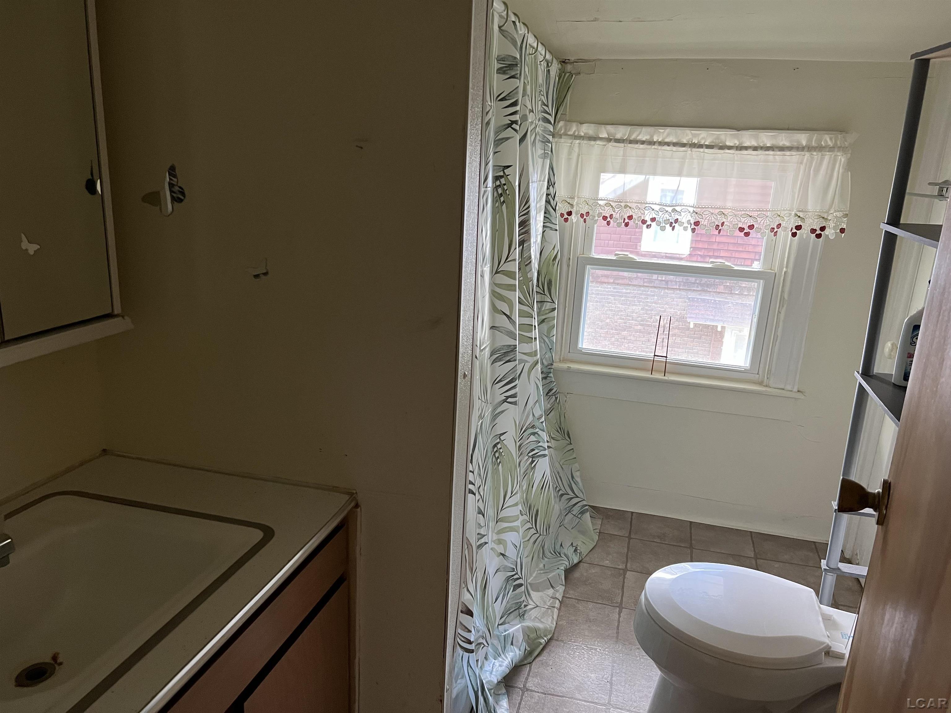 224 East Front Street Adrian, MI 49221 - Photo 2 of 8