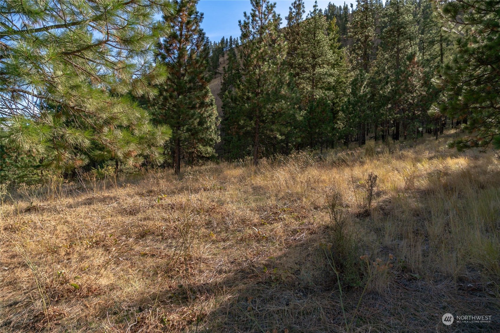 6500 Navarre Coulee Road Chelan, WA 98816 - Photo 17 of 19 Gallery Image 17