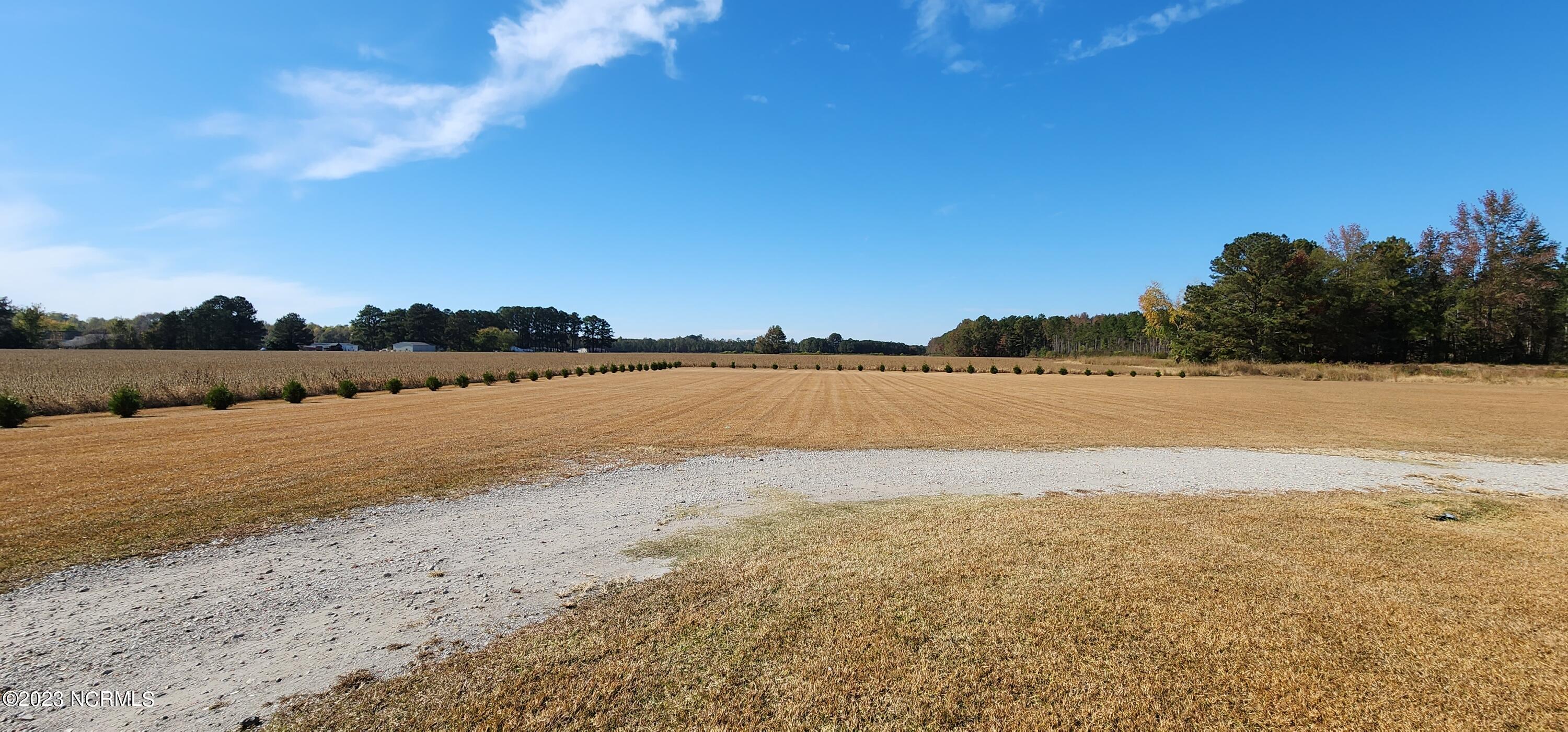 3539 Staton Mill Road Robersonville, NC 27871 - Photo 7 of 33 Rear view from home #2