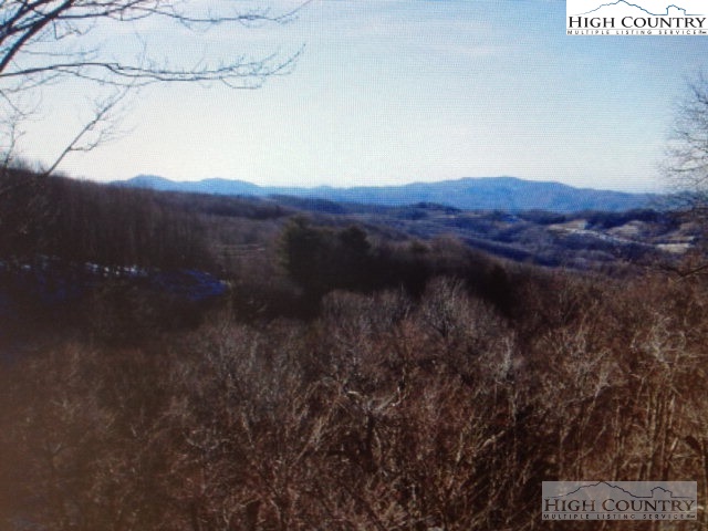 123 Hummingbird Road Beech Mountain, NC 28604 - Photo 1 of 1 Gallery Image 1