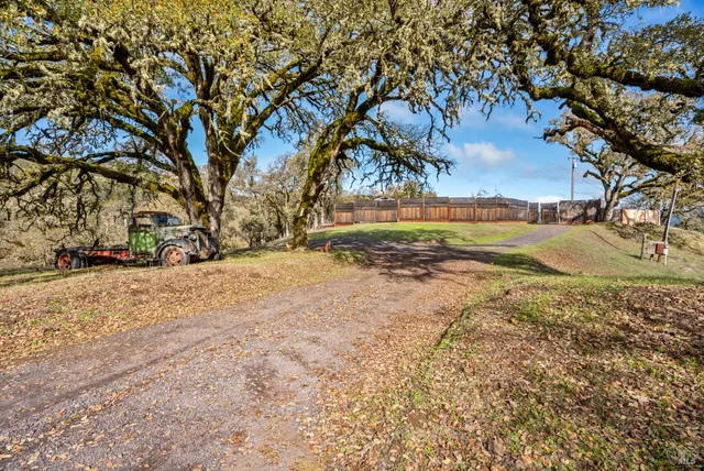 a view of a mountain in the distance in a field