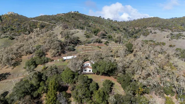 a view of a bunch of trees in a city