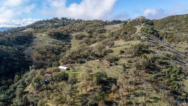 a backyard of a house with a yard and large tree