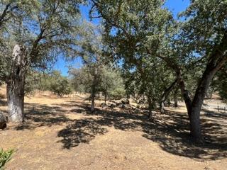 50294 Chuckwagon Road Yokuts Valley, CA 93675 - Photo 44 of 52 Gallery Image 44