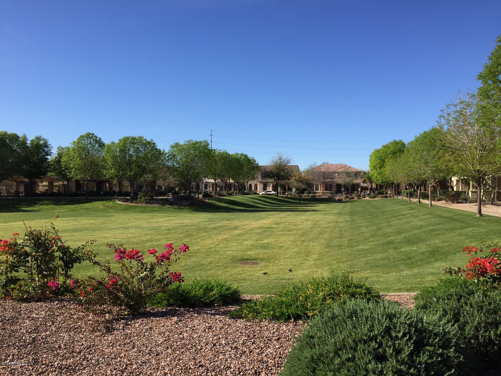 2099 South Martingale Road Gilbert, AZ 85295 - Photo 43 of 43 a view of a garden with an outdoor space