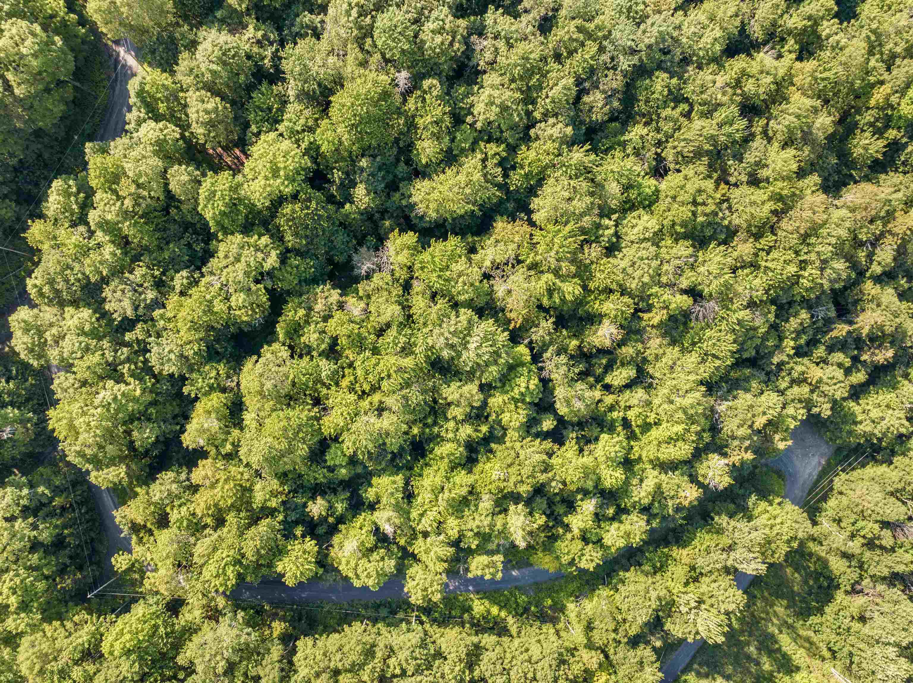 0 Woods Road, Unit 5A Northfield, VT 05663 - Photo 6 of 11