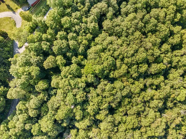 $114,000 | 0 Woods Road, Unit 5A, Northfield, VT 05663