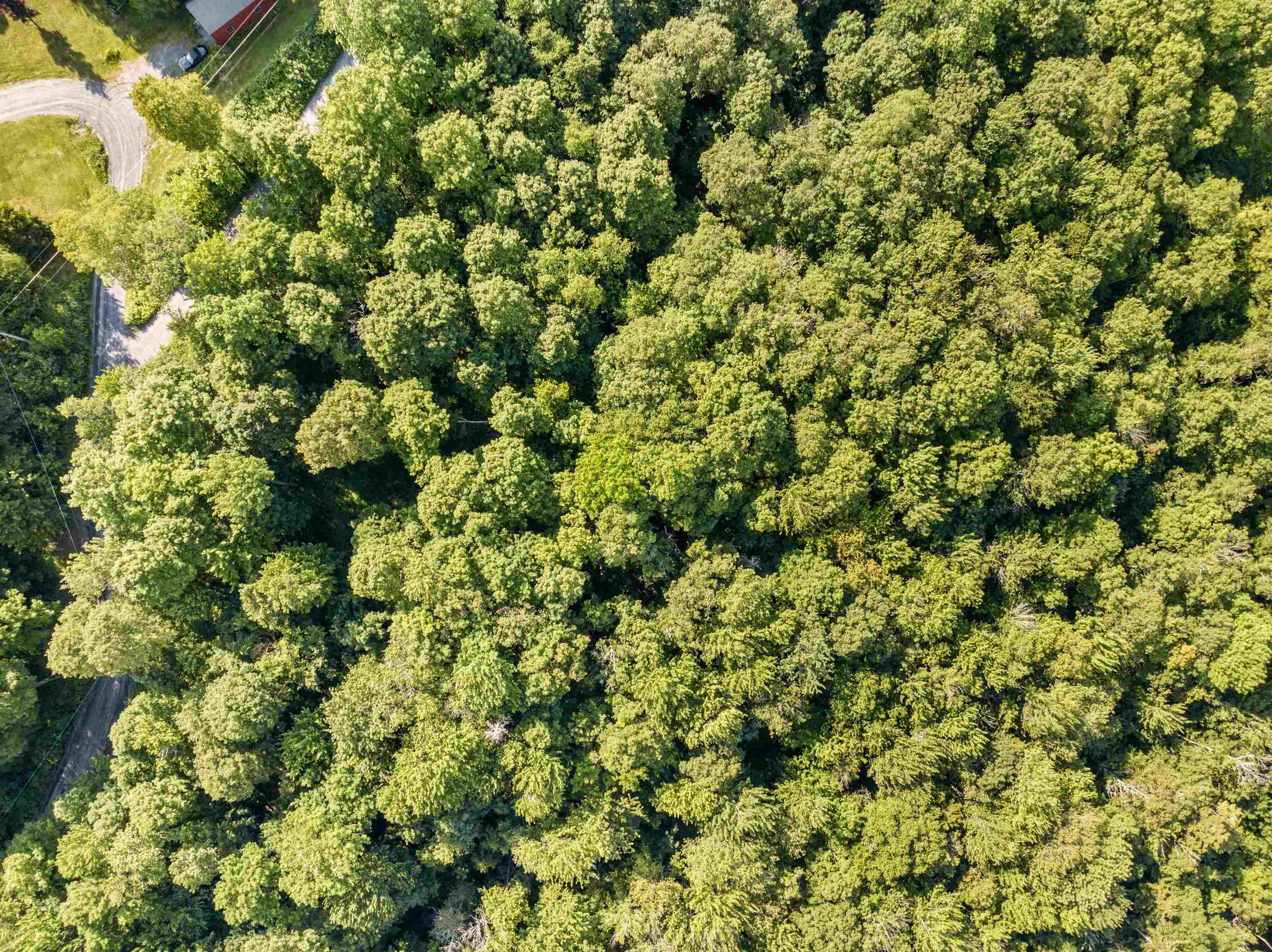 0 Woods Road, Unit 5A Northfield, VT 05663 - Photo 7 of 11