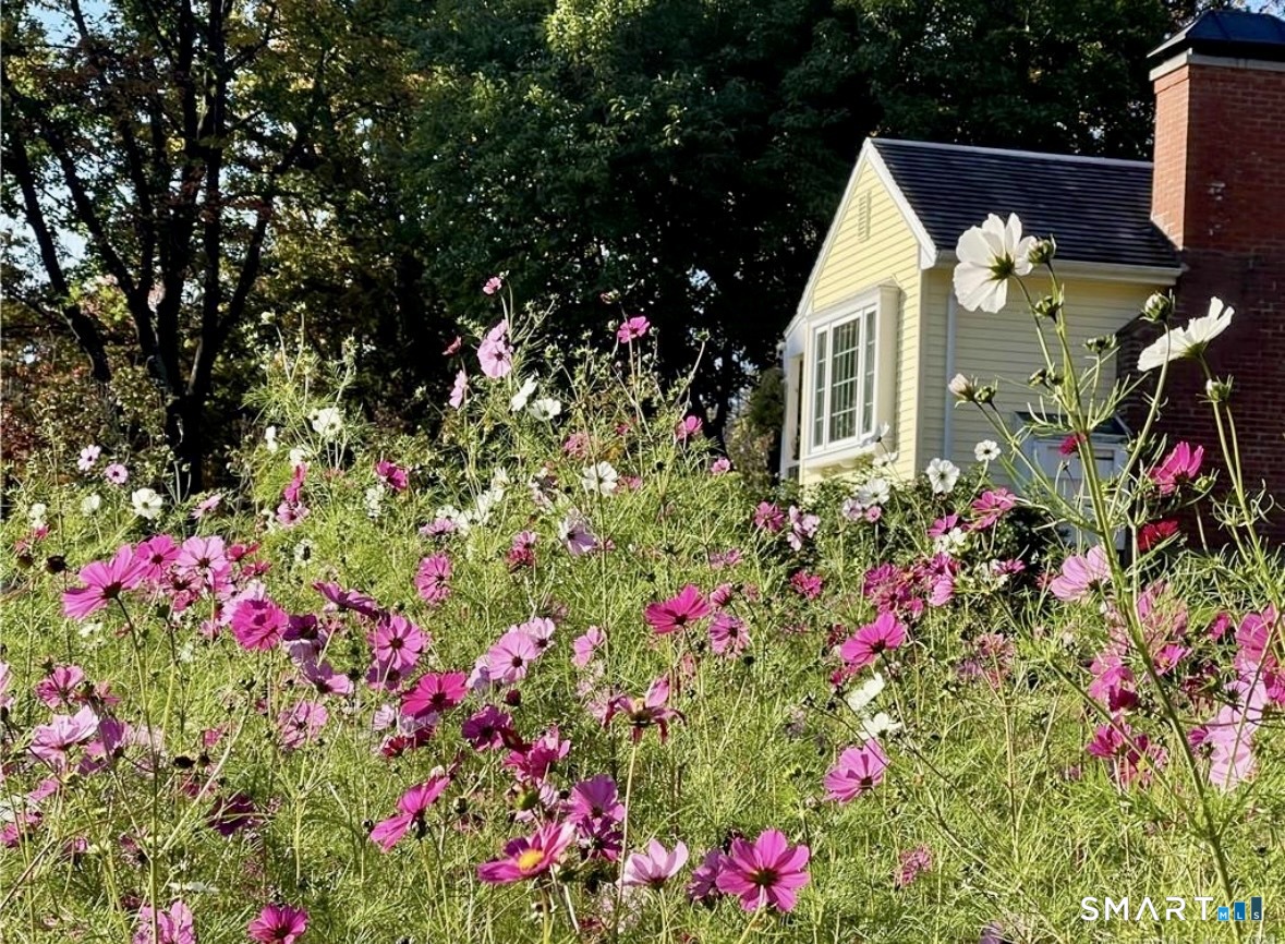 612 Broad Way Coventry, CT 06238 - Photo 42 of 42 Summer views