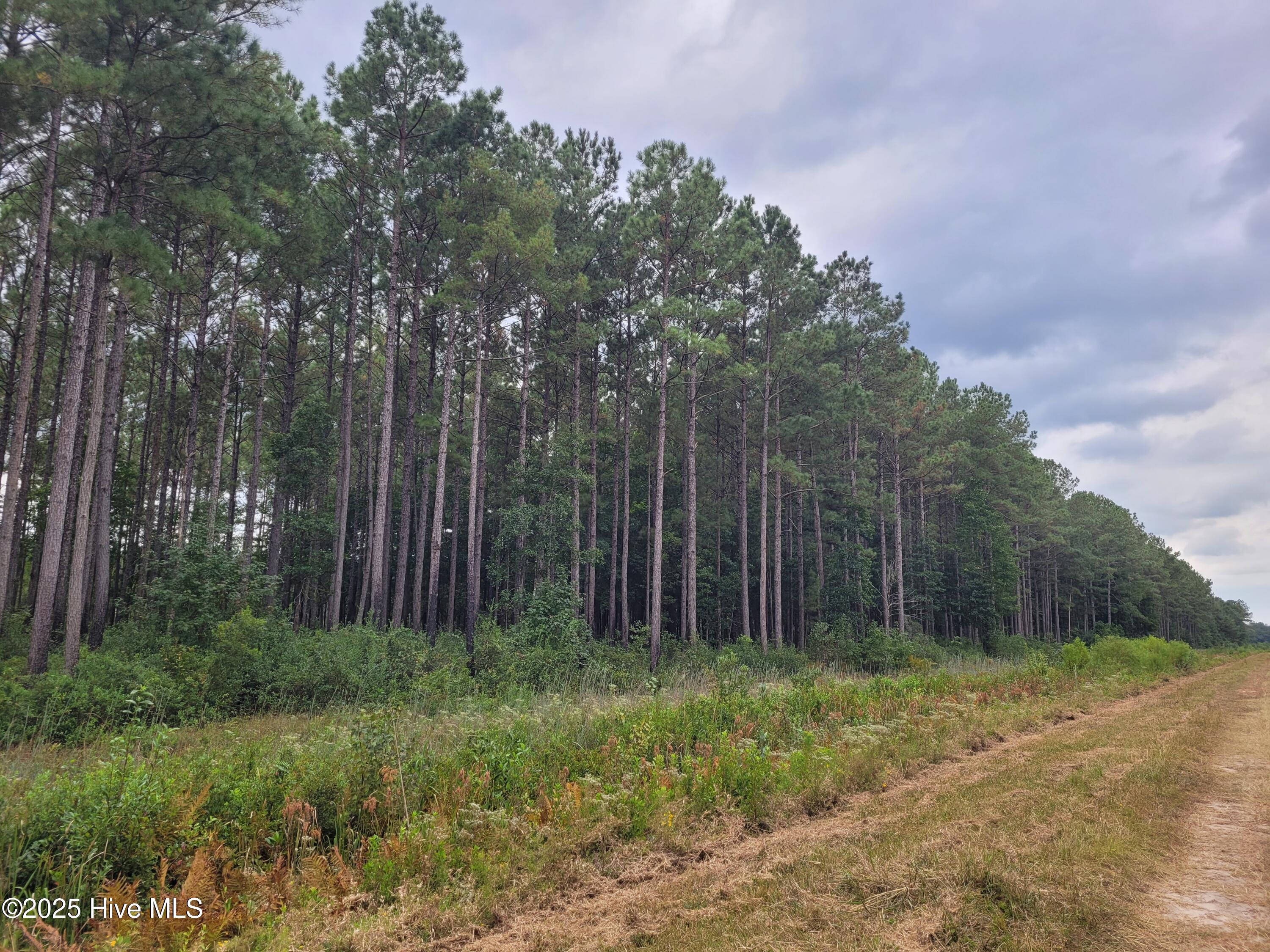 0 Kingtown Road Northwest Ash, NC 28420 - Photo 11 of 14 11) 63172-68cd807148c99