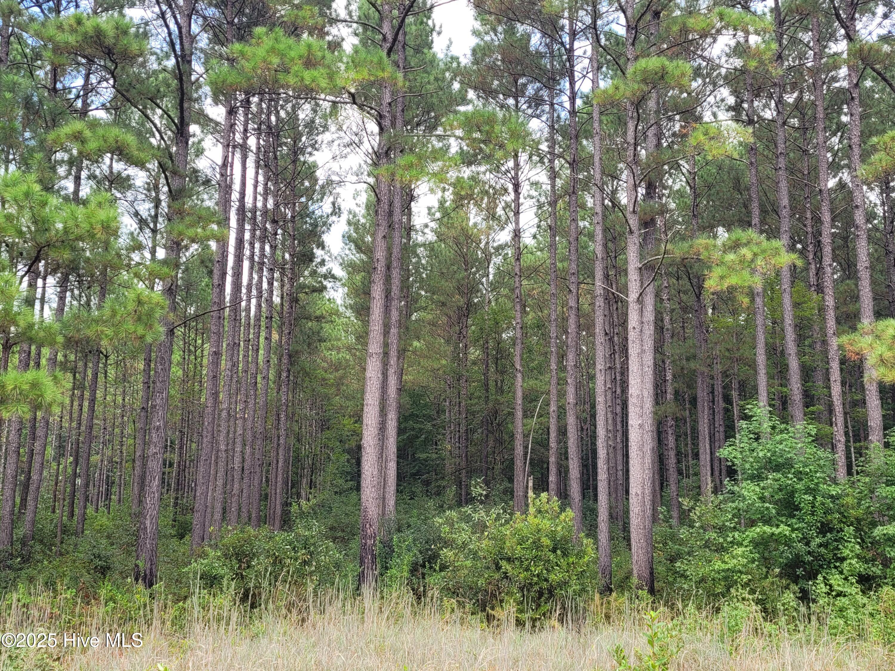 0 Kingtown Road Northwest Ash, NC 28420 - Photo 13 of 14 13) 63172-68cd807de9b43
