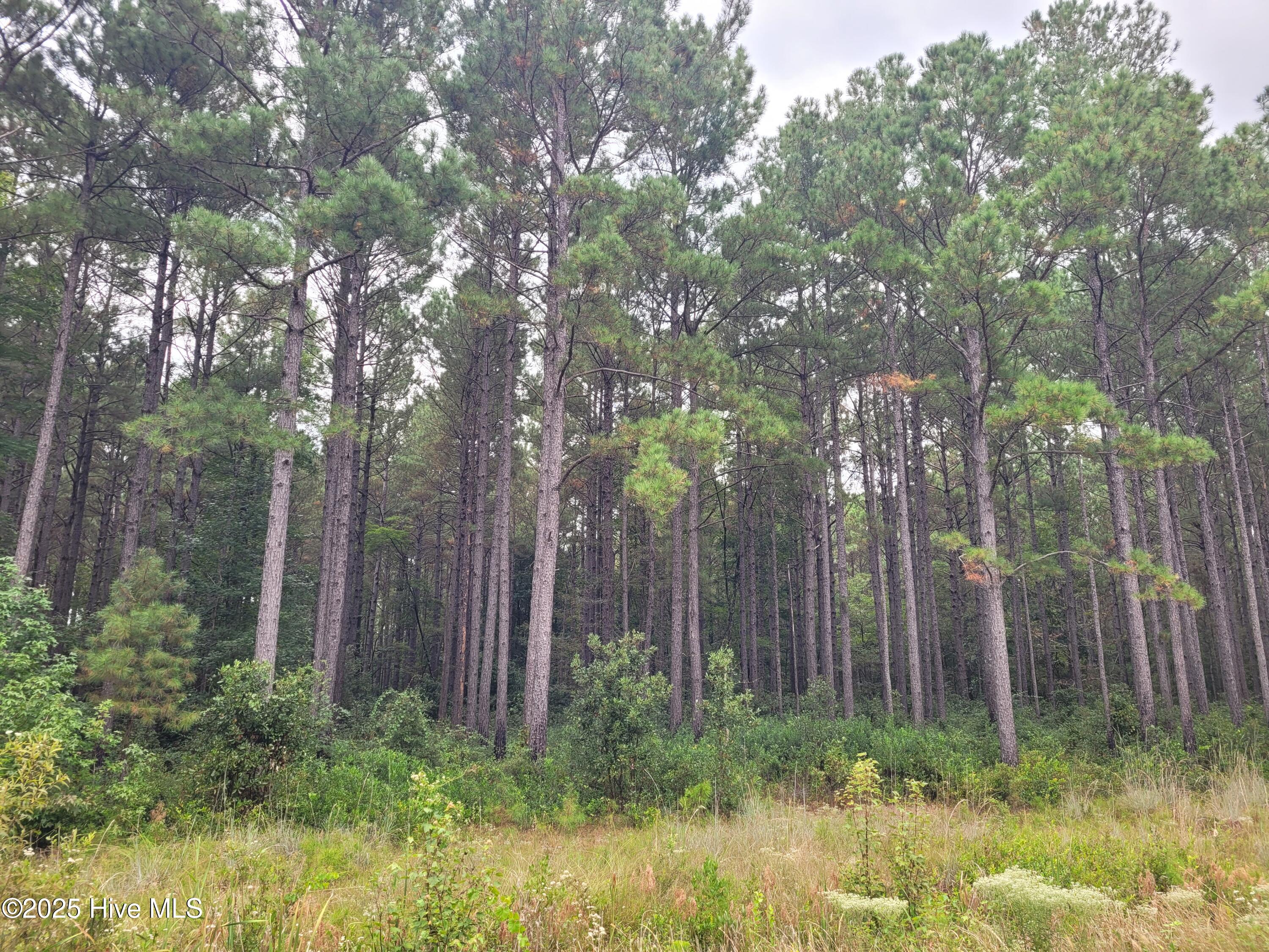 0 Kingtown Road Northwest Ash, NC 28420 - Photo 14 of 14 14) 63172-68cd806b9f220