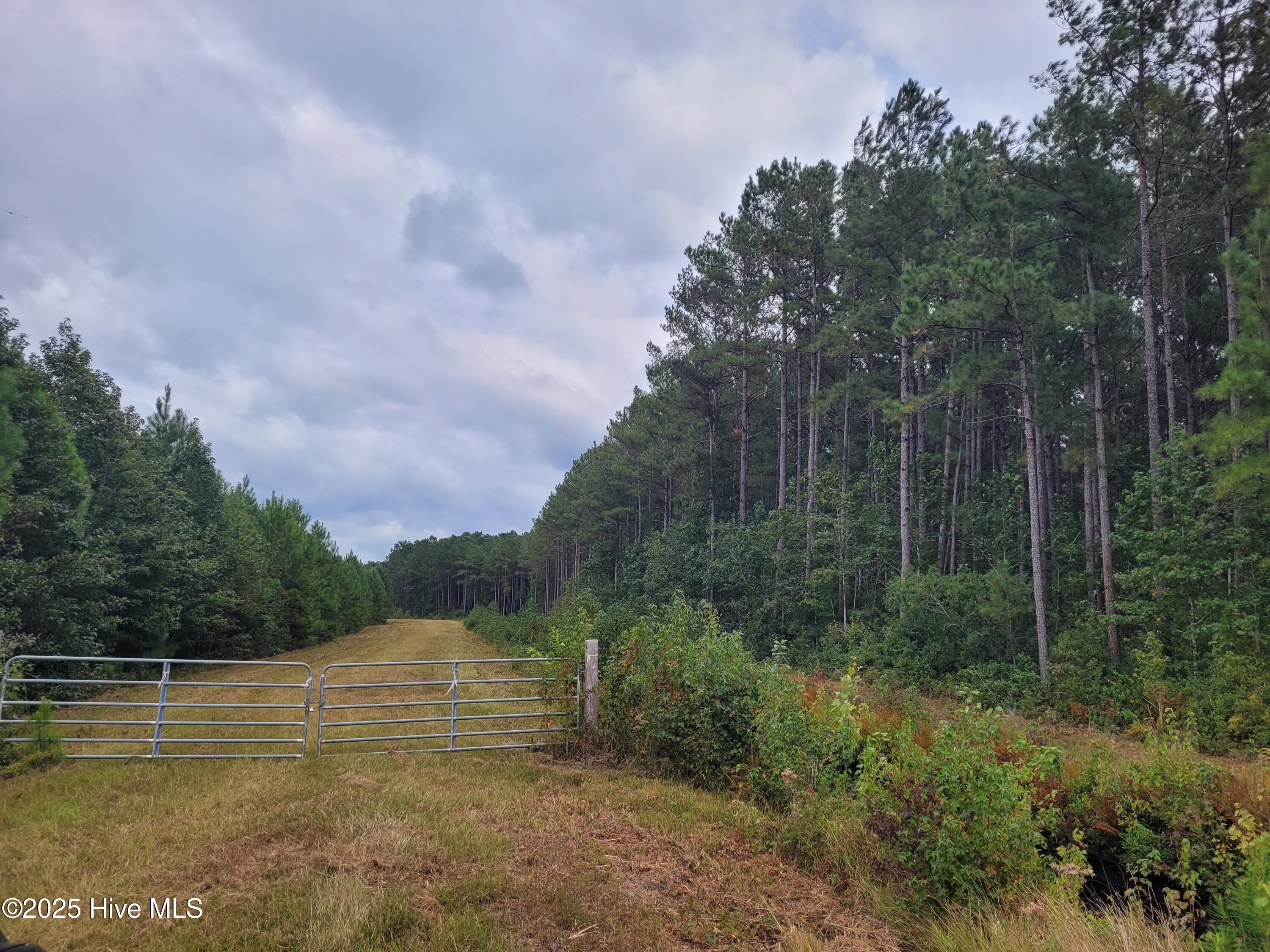 0 Kingtown Road Northwest Ash, NC 28420 - Photo 3 of 14 3) 63172-68cd808b4b6db