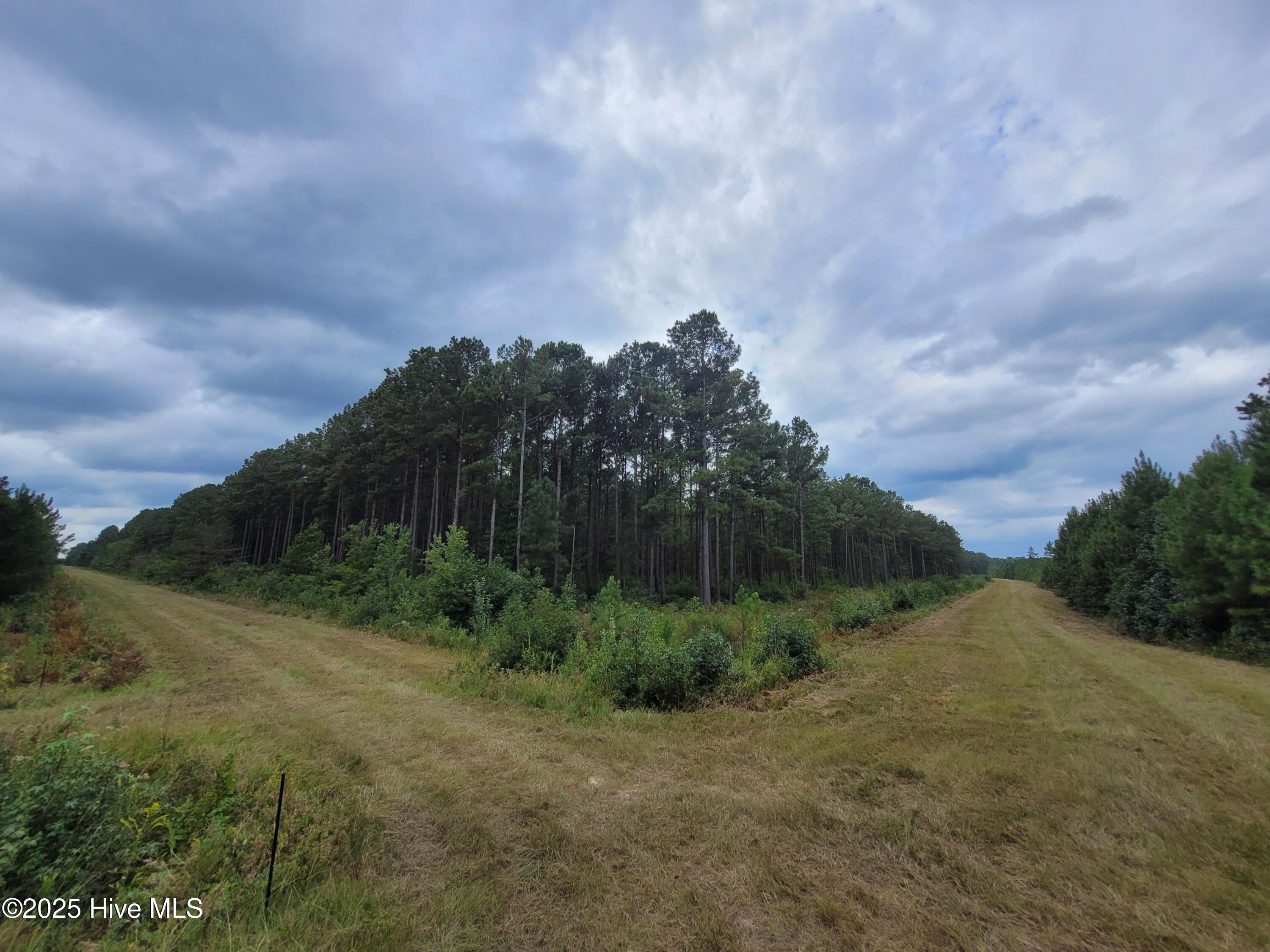 0 Kingtown Road Northwest Ash, NC 28420 - Photo 5 of 14 5) 63172-68cd806080d8b