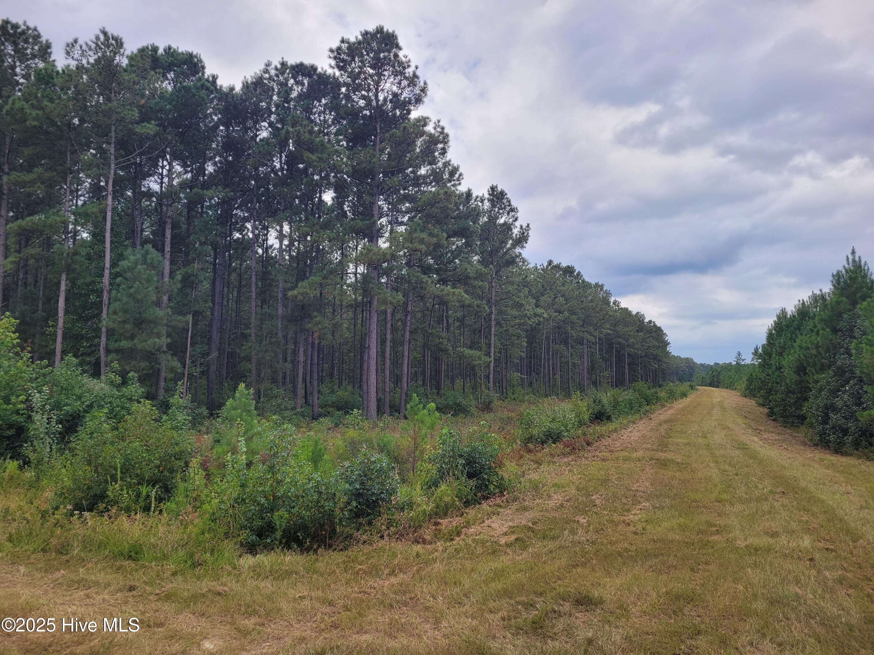 0 Kingtown Road Northwest Ash, NC 28420 - Photo 6 of 14 6) 63172-68cd80607f209