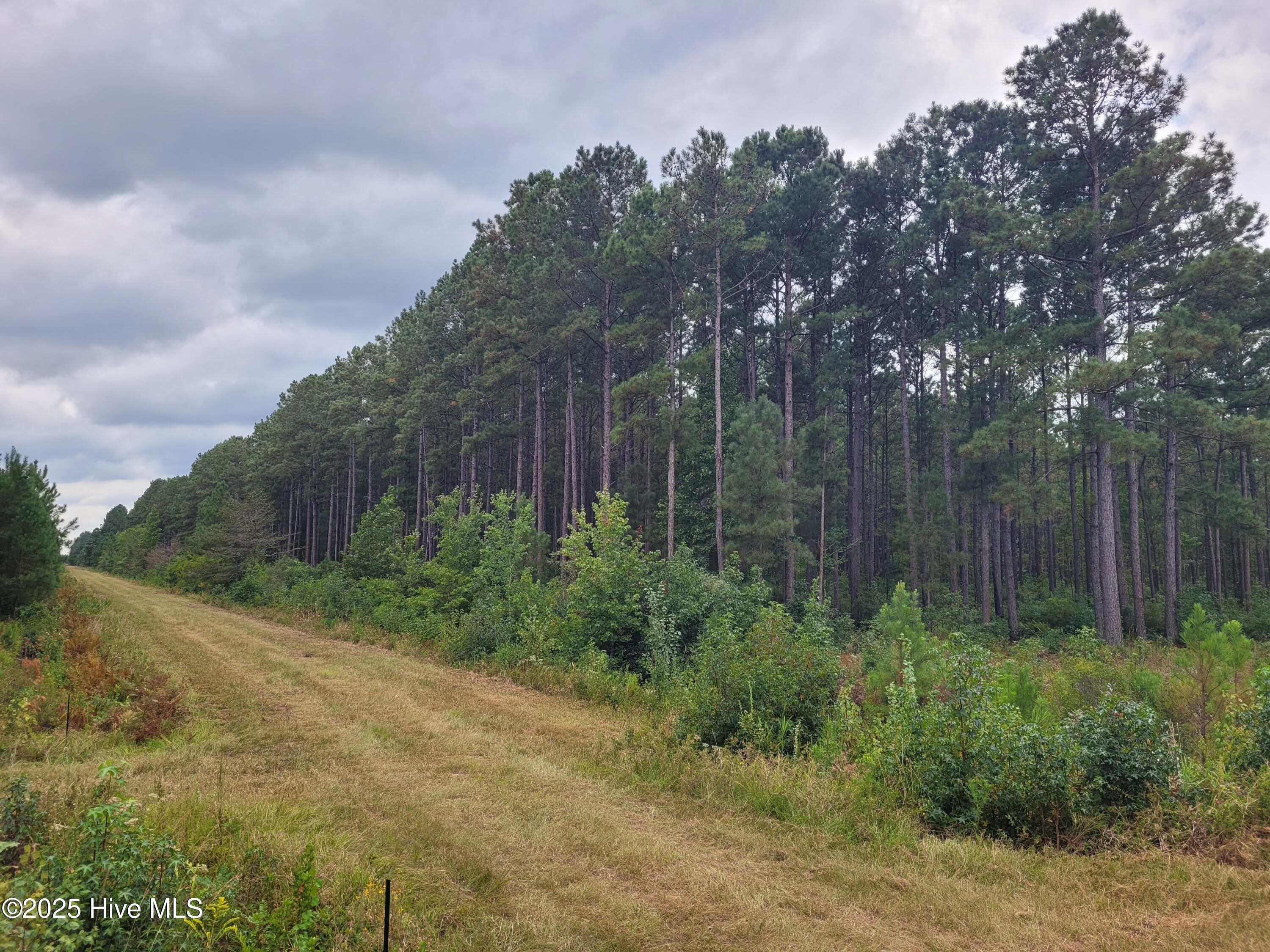 0 Kingtown Road Northwest Ash, NC 28420 - Photo 7 of 14 7) 63172-68cd80607fd8f