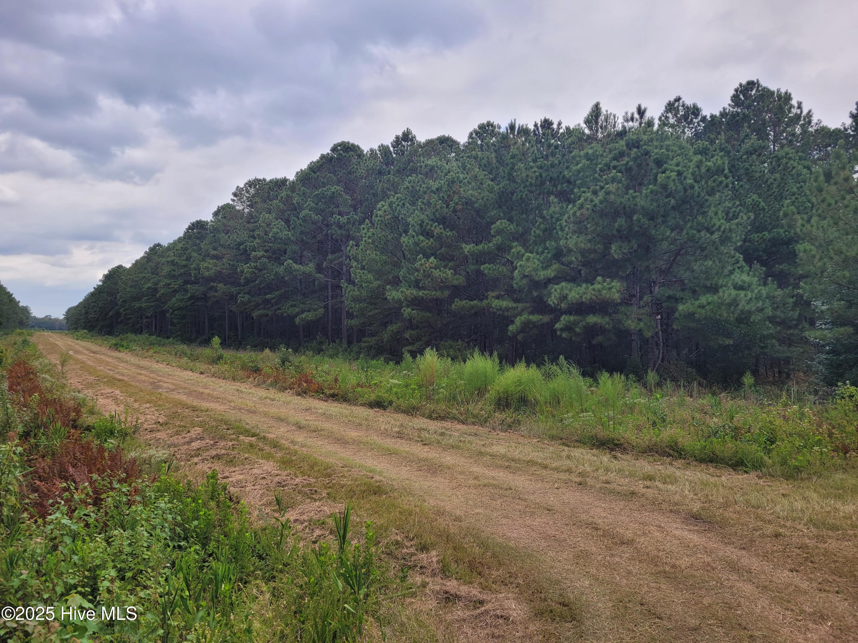 0 Kingtown Road Northwest Ash, NC 28420 - Photo 9 of 14 9) 63172-68cd806d37703