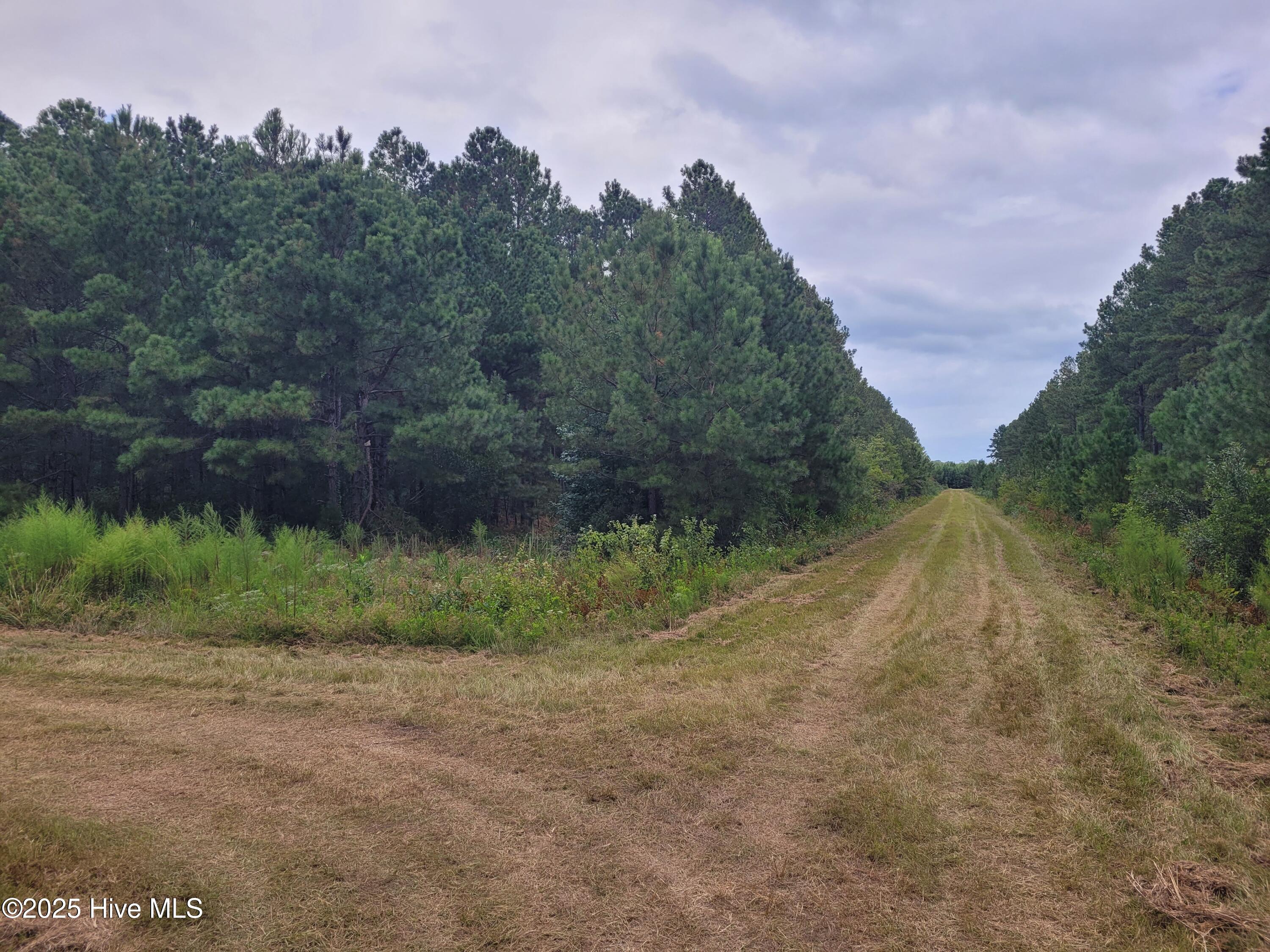 0 Kingtown Road Northwest Ash, NC 28420 - Photo 10 of 14 10) 63172-68cd807ceb676
