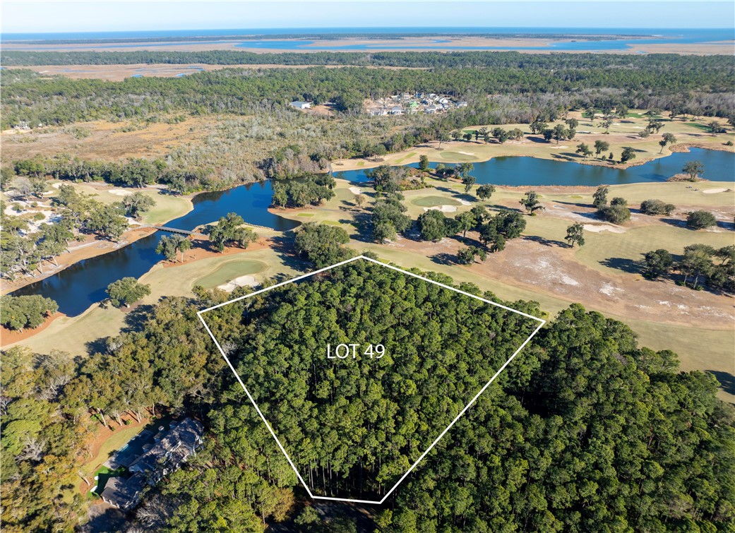 49 Marlin Lane St. Simons Island, GA 31522 - Photo 1 of 7