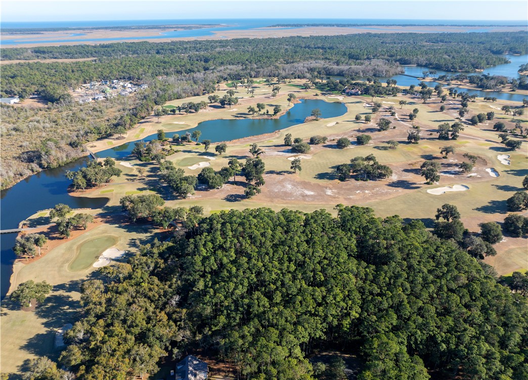49 Marlin Lane St. Simons Island, GA 31522 - Photo 3 of 7