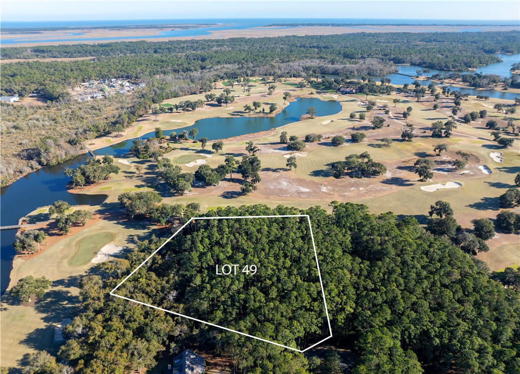 49 Marlin Lane St. Simons Island, GA 31522 - Photo 7 of 7