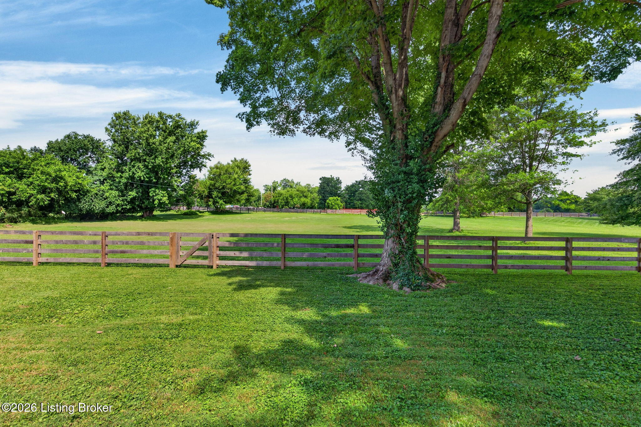 2104 North Rose Island Road Prospect, KY 40059 - Photo 42 of 57 A mature shade tree stands inside the fenced yard with open pasture beyond