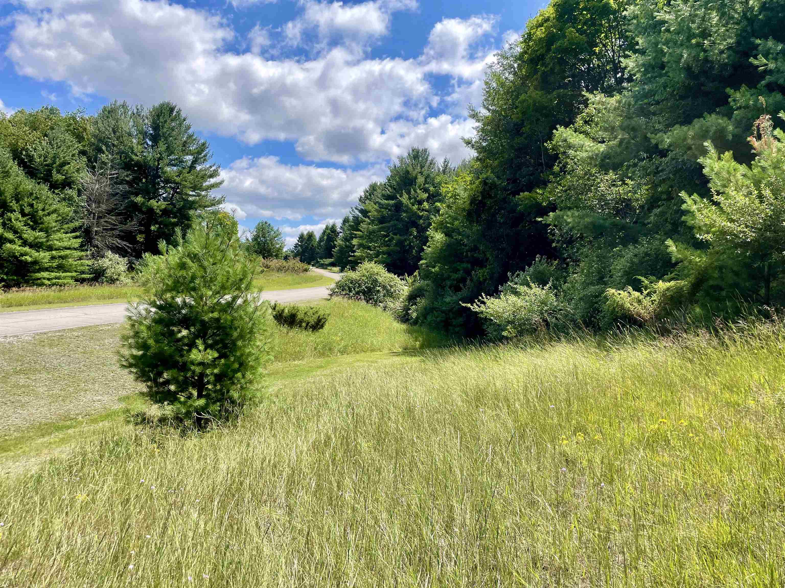 0 Bassil Road, Unit LOT: 36 Bellaire, MI 49615 - Photo 6 of 15