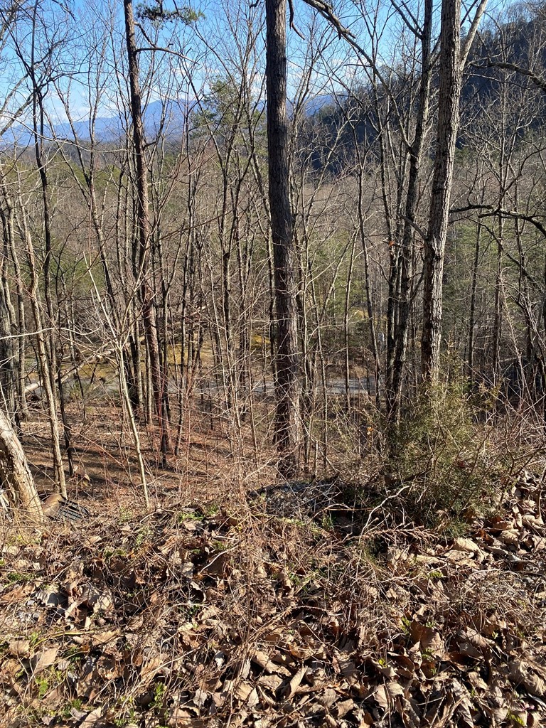 0 Rising Fawn Way Sevierville, TN 37862 - Photo 2 of 4