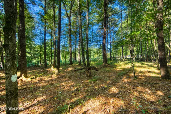 $182,500 | 218 Lonesome Pine Lane, Jamestown, TN 38556