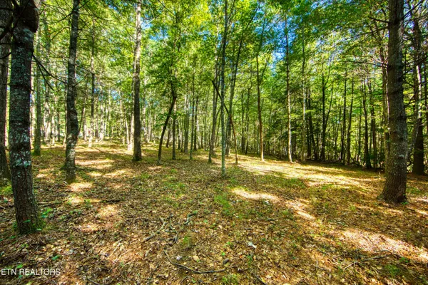 $182,500 | 218 Lonesome Pine Lane, Jamestown, TN 38556