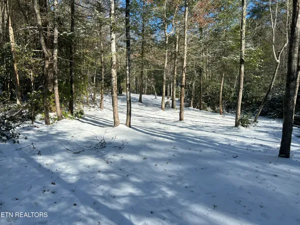 $182,500 | 218 Lonesome Pine Lane, Jamestown, TN 38556
