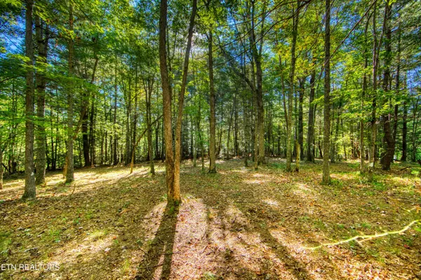 $182,500 | 218 Lonesome Pine Lane, Jamestown, TN 38556