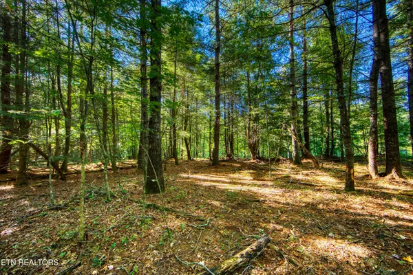$182,500 | 218 Lonesome Pine Lane, Jamestown, TN 38556