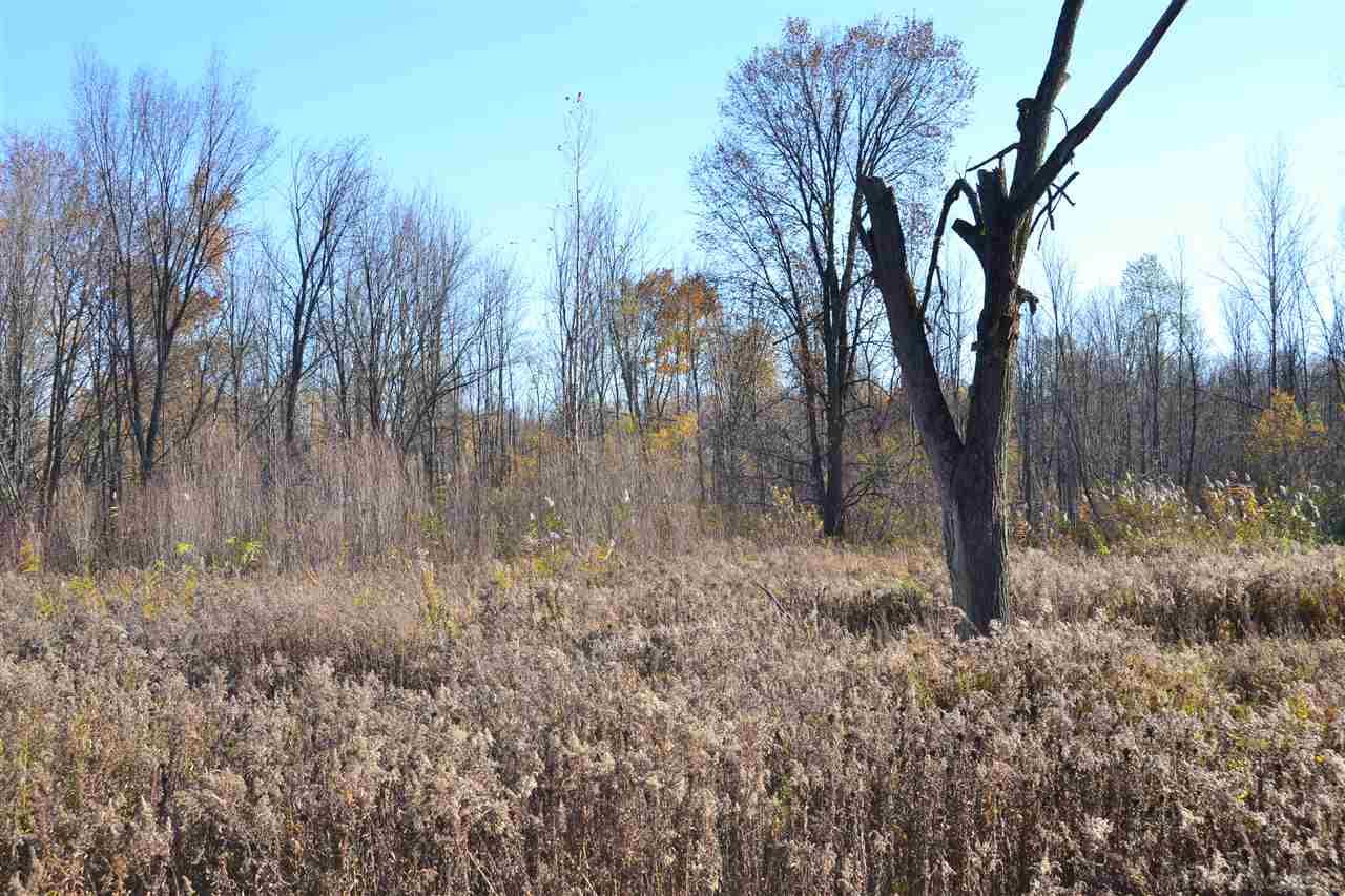 0 South Curry Road Caro, MI 48741 - Photo 6 of 6